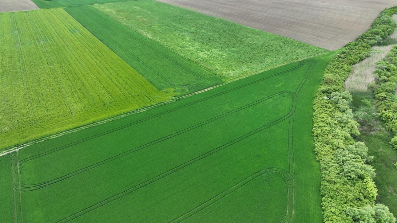 North Texas landscape